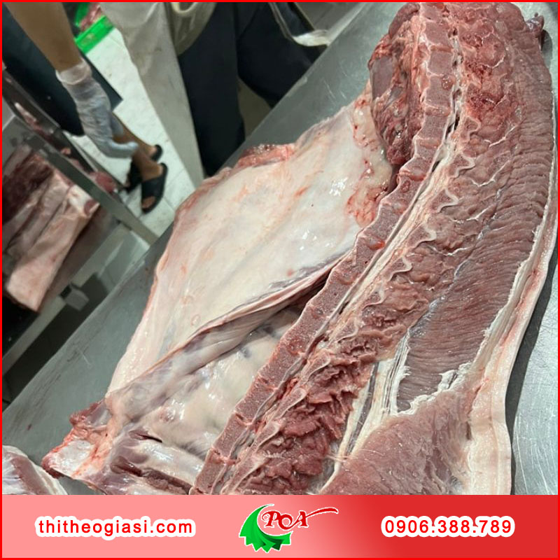 Tiêu chuẩn chọn nguồn thịt heo tươi sống cho bếp ăn công nghiệp